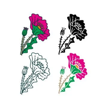 Flower Leaf Illustration Design Template Vector Illustration