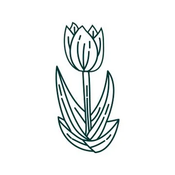 Flower Leaf Illustration Design Template Vector Illustrazione stock