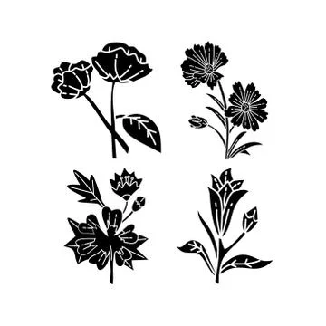 Flower Leaf Illustration Design Template Vector Illustrazione stock