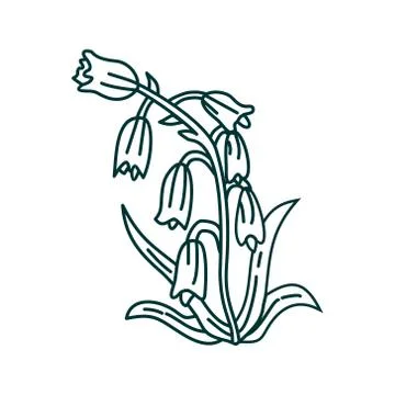 Flower Leaf Illustration Design Template Vector Illustration