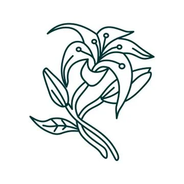 Flower Leaf Illustration Design Template Vector Ilustração Stock