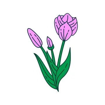 Flower Leaf Illustration Design Template Vector Illustration