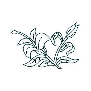 Flower Leaf Illustration Design Template Vector Illustration