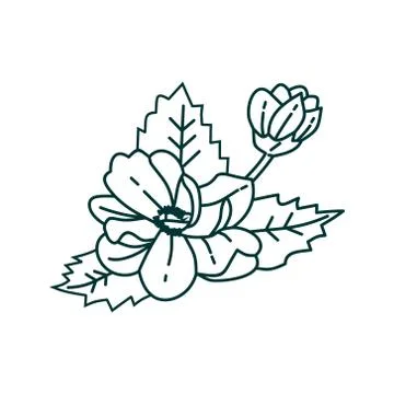 Flower Leaf Illustration Design Template Vector Stock Illustration