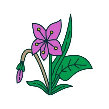 Flower Leaf Illustration Design Template Vector Stock-Illustration