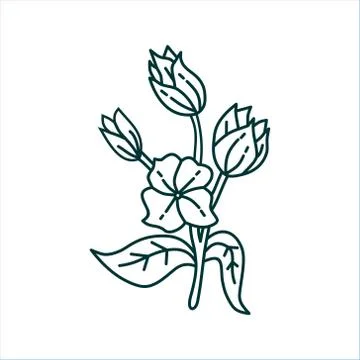 Flower Leaf Illustration Design Template Vector Illustration