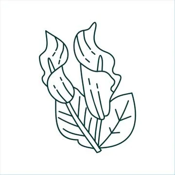 Flower Leaf Illustration Design Template Vector Illustration