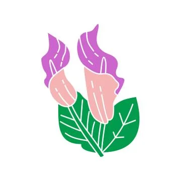 Flower Leaf Illustration Design Template Vector Illustration