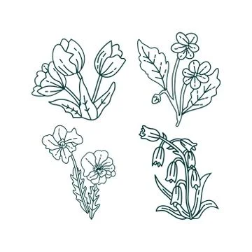 Flower Leaf Illustration Design Template Vector Ilustração Stock