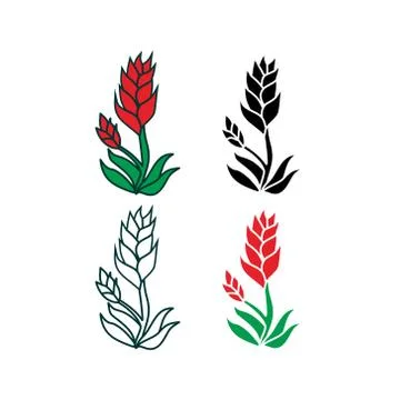 Flower Leaf Illustration Design Template Vector イラスト素材