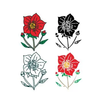 Flower Leaf Illustration Design Template Vector Illustration