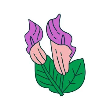 Flower Leaf Illustration Design Template Vector Illustration