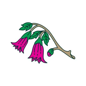 Flower Leaf Illustration Design Template Vector イラスト素材