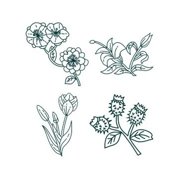 Flower Leaf Illustration Design Template Vector Illustration