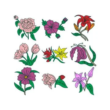 Flower Leaf Illustration Design Template Vector Stock-Illustration