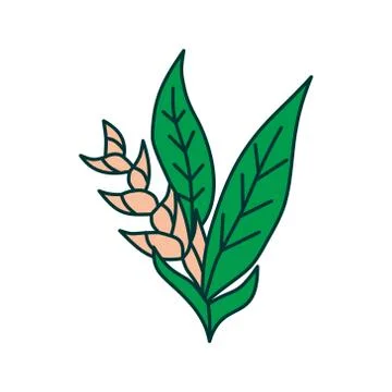 Flower Leaf Illustration Design Template Vector Illustration