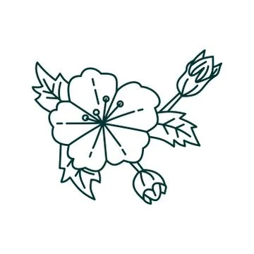 Flower Leaf Illustration Design Template Vector Illustration