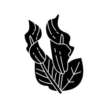 Flower Leaf Illustration Design Template Vector Illustration
