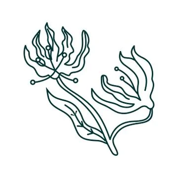 Flower Leaf Illustration Design Template Vector Illustration