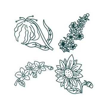 Flower Leaf Illustration Design Template Vector Illustration
