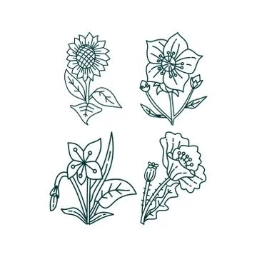 Flower Leaf Illustration Design Template Vector Stock-Illustration
