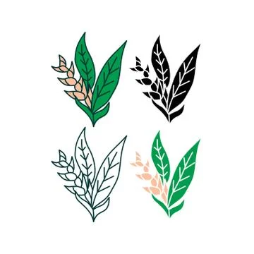 Flower Leaf Illustration Design Template Vector イラスト素材