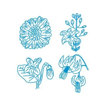 Flower Leaf Illustration Design Template Vector Linear Illustration