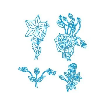 Flower Leaf Illustration Design Template Vector Linear Illustration
