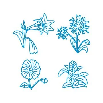 Flower Leaf Illustration Design Template Vector Linear Illustration