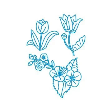 Flower Leaf Illustration Design Template Vector Linear Illustration