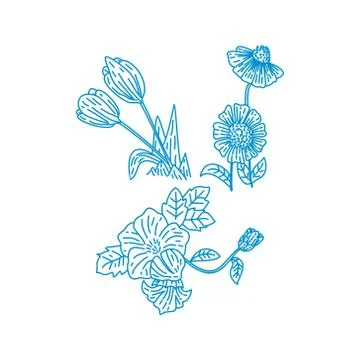 Flower Leaf Illustration Design Template Vector Linear Ilustração Stock