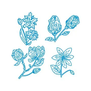 Flower Leaf Illustration Design Template Vector Linear Ilustração Stock