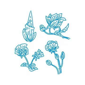 Flower Leaf Illustration Design Template Vector Linear Stock-Illustration