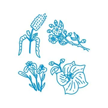 Flower Leaf Illustration Design Template Vector Linear Illustrazione stock