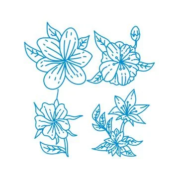 Flower Leaf Illustration Design Template Vector Linear Illustration