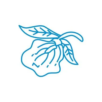 Flower Leaf Illustration Design Template Vector Linear Stock-Illustration
