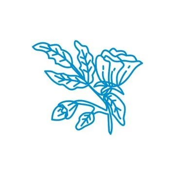 Flower Leaf Illustration Design Template Vector Linear Illustration