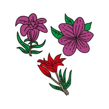 Flower Leaf Illustration Design Template Vector Linear Ilustração Stock