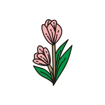 Flower Leaf Illustration Design Template Vector Linear Illustration