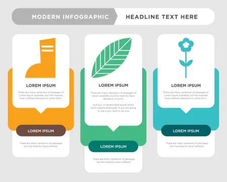 Flower, leaf,   infographic Stock Illustration