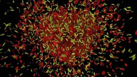 Flower leafs explosion.Heart. Video stock 148083942