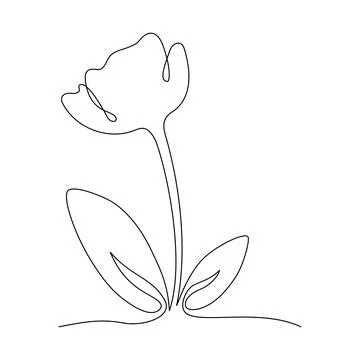 Flower with Leaves. One Continuous Line Drawing. Minimalist Tulip in Simple.. Stock Illustration