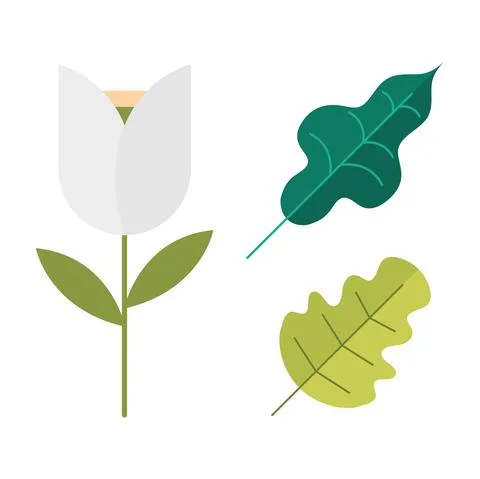 Flower leaves set Ilustração Stock
