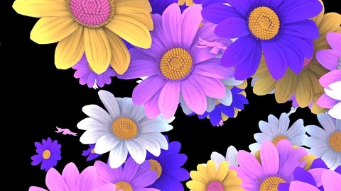 Flower Left to Right Swipe 動画素材 73275115