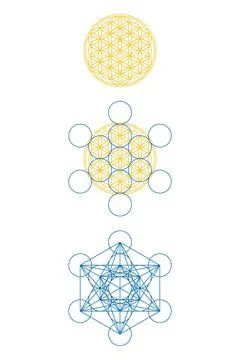 Flower of Life and the develop of Metatrons Cube, Sacred Geometry 스톡 일러스트