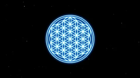 FLOWER OF LIFE Animation Vidéo 100850827