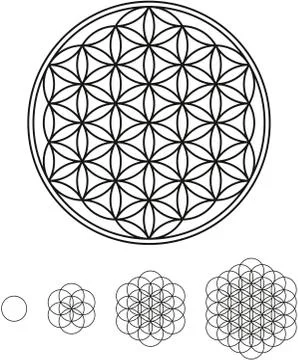 Flower Of Life Development Stock Illustration