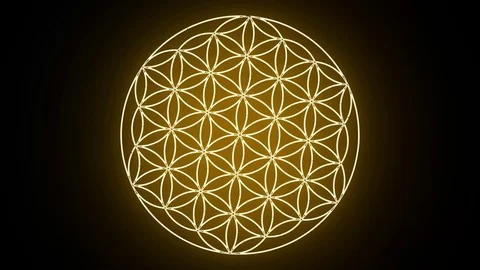 The Flower of Life Forming Sacred Geometry Symbol Stock Footage