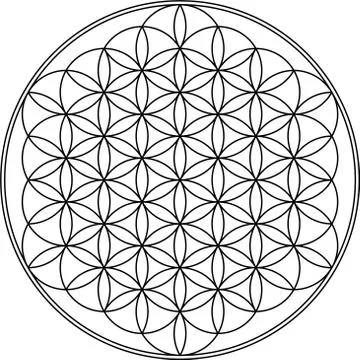 Flower of life Stock Illustration