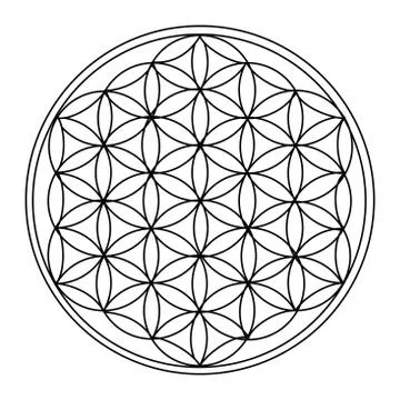 The Flower of Life Stock Illustration